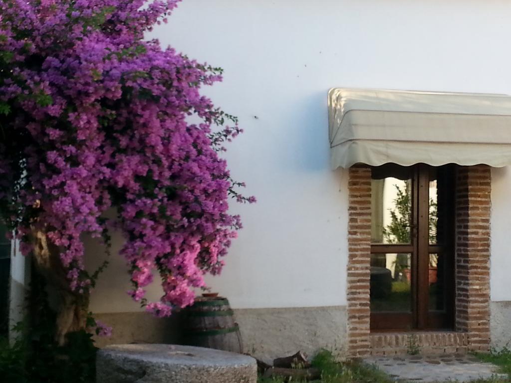 Agriturismo Malena Amica Εξωτερικό φωτογραφία